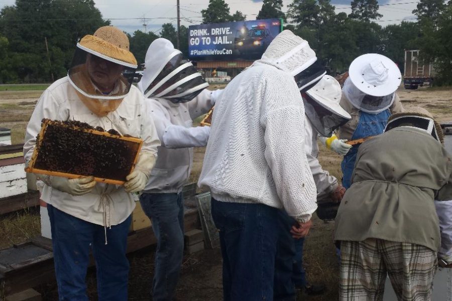2018 Queen Rearing Class