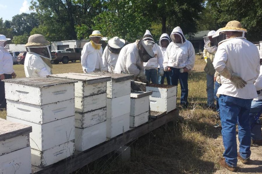2018 Queen Rearing Class