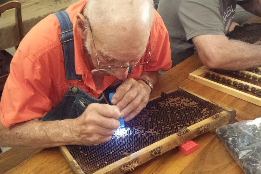 2018 Queen Rearing Class
