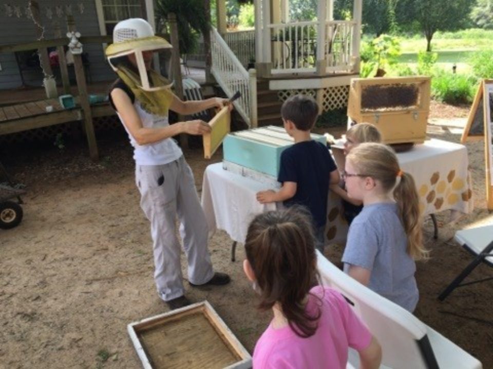  Teaching Kids About Honey Bees