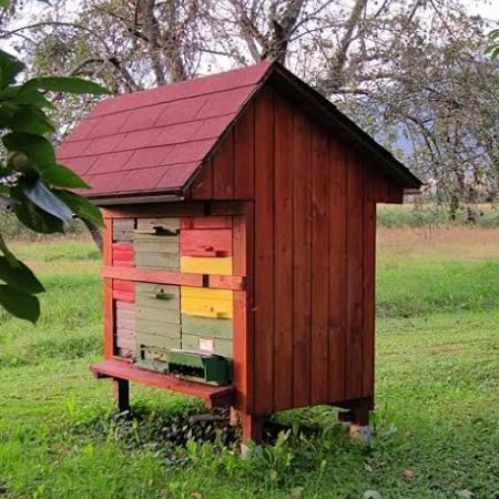 The Slovenian Beehive