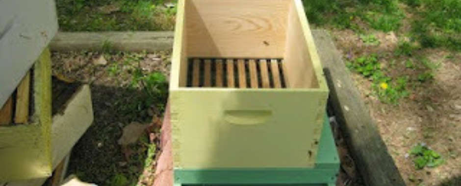 The Slatted Rack and the Empty Bottom Box in Early Spring